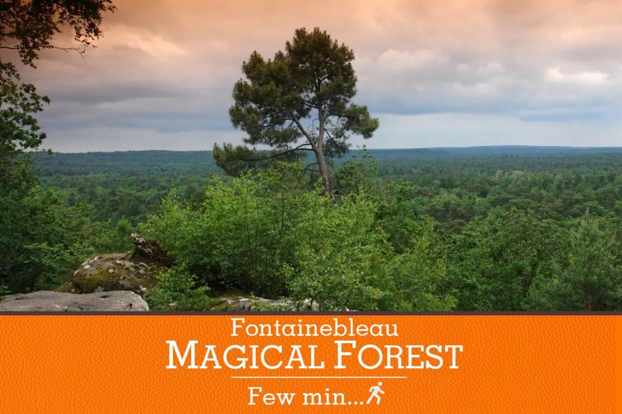 Апартаменти Duplex Standing 7Min➤Fontainebleau-Insead⎮45Min➤Paris Veneux-les-Sablons Екстер'єр фото